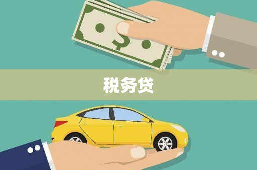 营口税务贷
