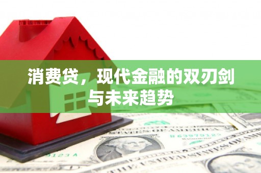 营口消费贷，现代金融的双刃剑与未来趋势