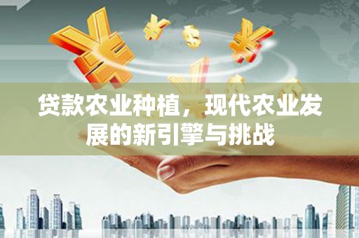 营口贷款农业种植，现代农业发展的新引擎与挑战
