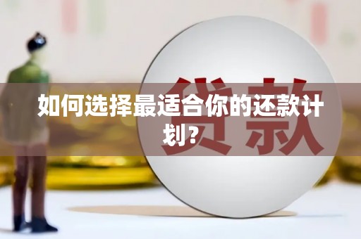 营口如何选择最适合你的还款计划？