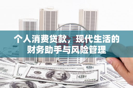 营口个人消费贷款，现代生活的财务助手与风险管理