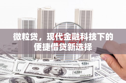 营口微粒贷，现代金融科技下的便捷借贷新选择