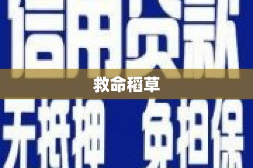 营口救命稻草
