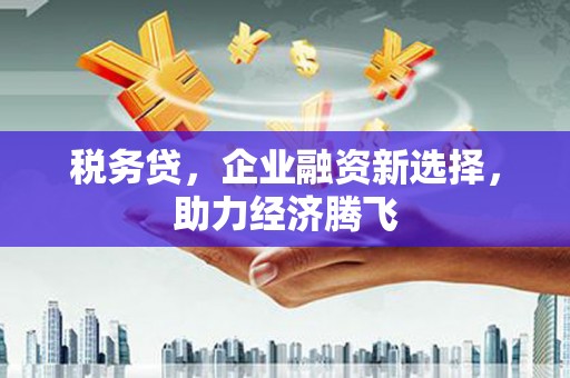 营口税务贷，企业融资新选择，助力经济腾飞