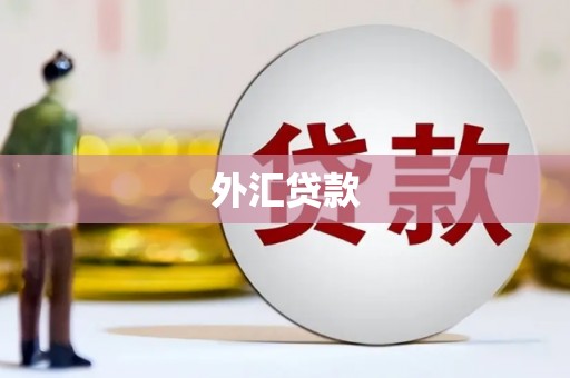 营口外汇贷款