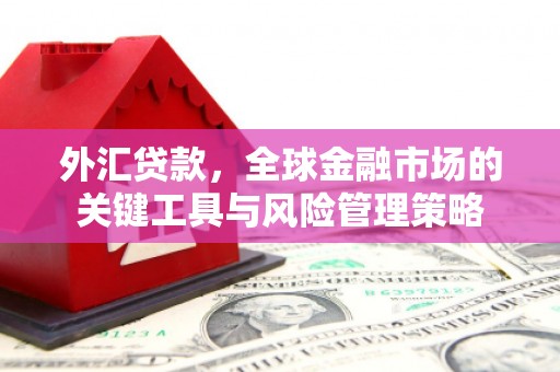 营口外汇贷款，全球金融市场的关键工具与风险管理策略