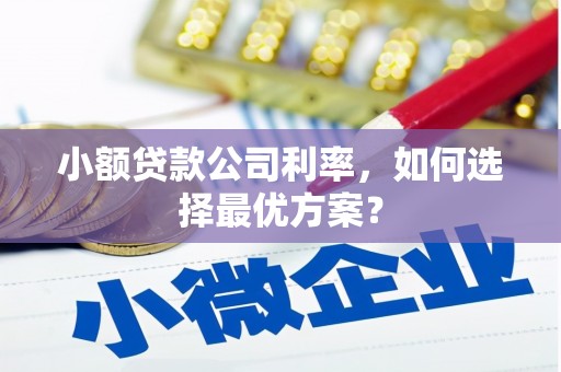 营口小额贷款公司利率，如何选择最优方案？