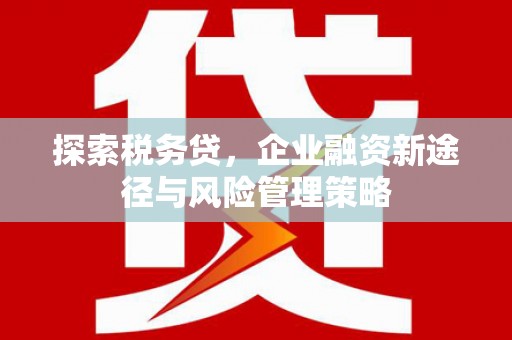 营口探索税务贷，企业融资新途径与风险管理策略