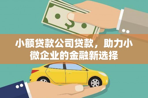 营口小额贷款公司贷款，助力小微企业的金融新选择