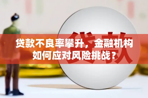 营口贷款不良率攀升，金融机构如何应对风险挑战？