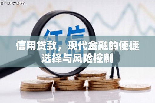营口信用贷款，现代金融的便捷选择与风险控制