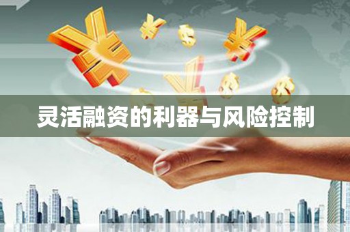 营口灵活融资的利器与风险控制