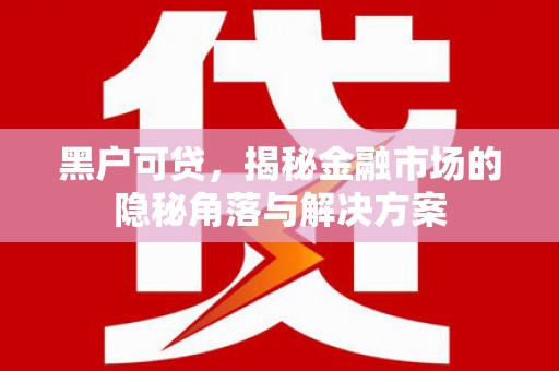 营口黑户可贷，揭秘金融市场的隐秘角落与解决方案