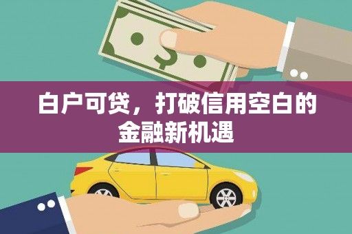 营口白户可贷，打破信用空白的金融新机遇