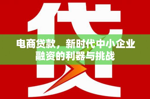 营口电商贷款，新时代中小企业融资的利器与挑战