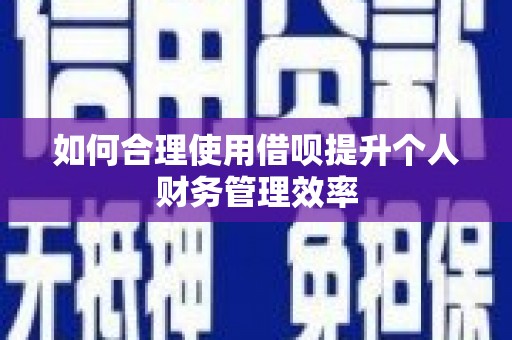 营口如何合理使用借呗提升个人财务管理效率