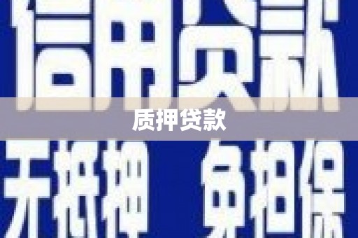 营口质押贷款