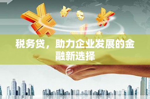 营口税务贷，助力企业发展的金融新选择