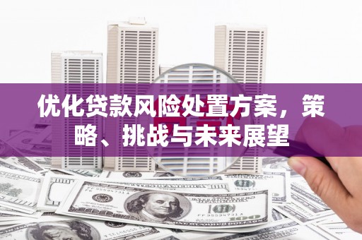 营口优化贷款风险处置方案，策略、挑战与未来展望