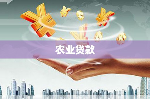 营口农业贷款