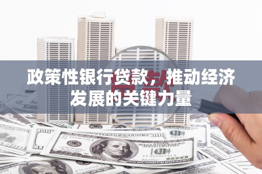 营口政策性银行贷款，推动经济发展的关键力量