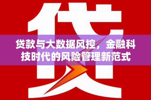 营口贷款与大数据风控，金融科技时代的风险管理新范式