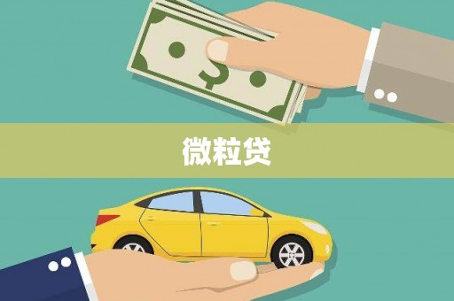 营口微粒贷
