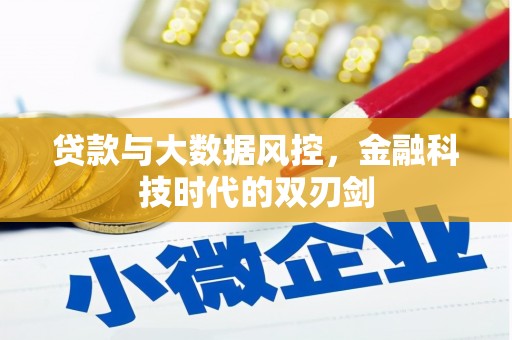 营口贷款与大数据风控，金融科技时代的双刃剑