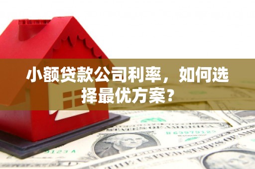 营口小额贷款公司利率，如何选择最优方案？