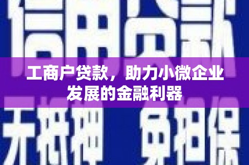 营口工商户贷款，助力小微企业发展的金融利器