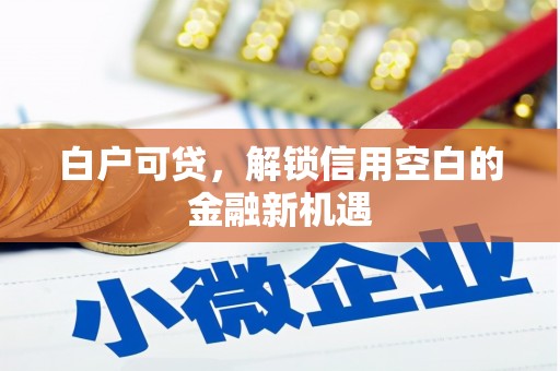 营口白户可贷，解锁信用空白的金融新机遇