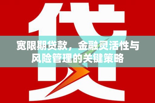 营口宽限期贷款，金融灵活性与风险管理的关键策略