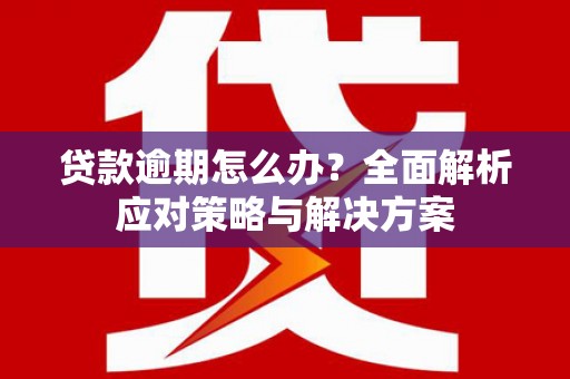 营口贷款逾期怎么办？全面解析应对策略与解决方案