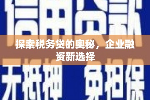 营口探索税务贷的奥秘，企业融资新选择