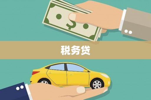 营口税务贷