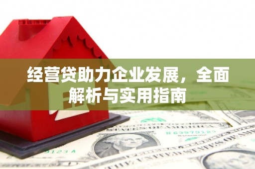 营口经营贷助力企业发展，全面解析与实用指南
