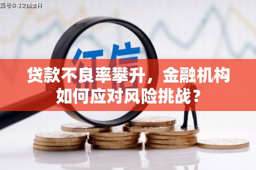 营口贷款不良率攀升，金融机构如何应对风险挑战？