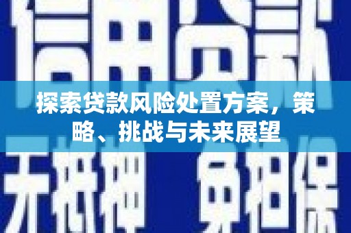 营口探索贷款风险处置方案，策略、挑战与未来展望