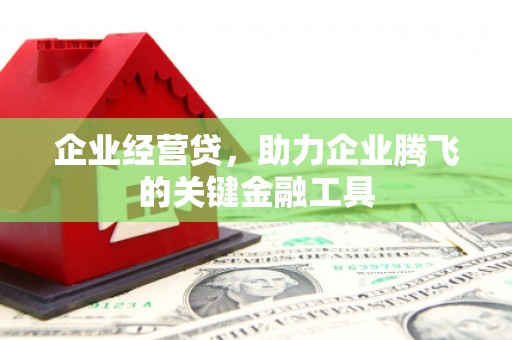 营口企业经营贷，助力企业腾飞的关键金融工具