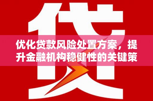 营口优化贷款风险处置方案，提升金融机构稳健性的关键策略