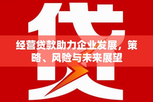 营口经营贷款助力企业发展，策略、风险与未来展望