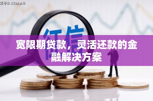 营口宽限期贷款，灵活还款的金融解决方案