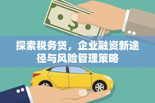 营口探索税务贷，企业融资新途径与风险管理策略