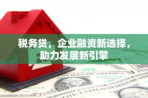 营口税务贷，企业融资新选择，助力发展新引擎