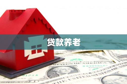 营口贷款养老