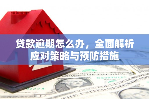 营口贷款逾期怎么办，全面解析应对策略与预防措施