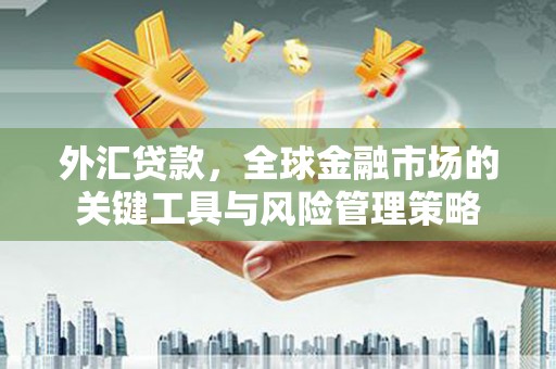 营口外汇贷款，全球金融市场的关键工具与风险管理策略