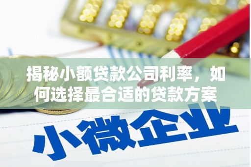 营口揭秘小额贷款公司利率，如何选择最合适的贷款方案