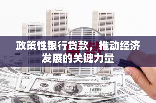 营口政策性银行贷款，推动经济发展的关键力量