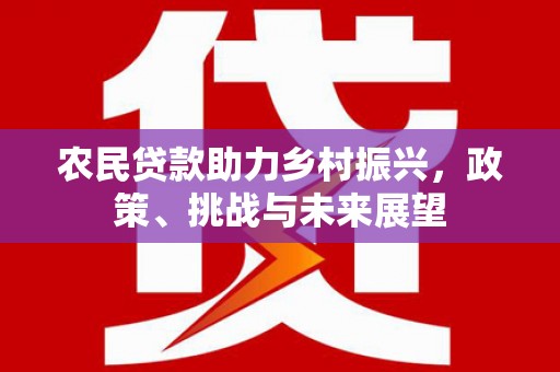 营口农民贷款助力乡村振兴，政策、挑战与未来展望